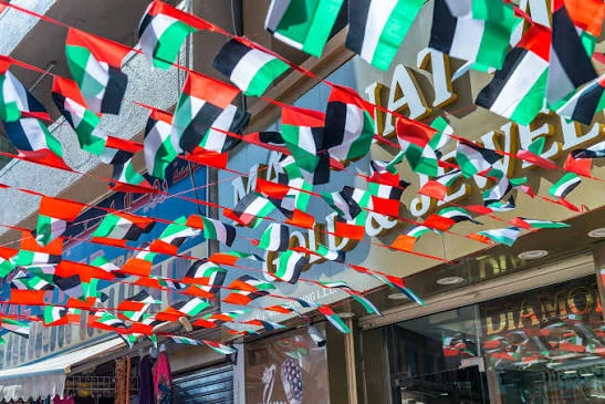 Bunting Flags, image 1 of 6