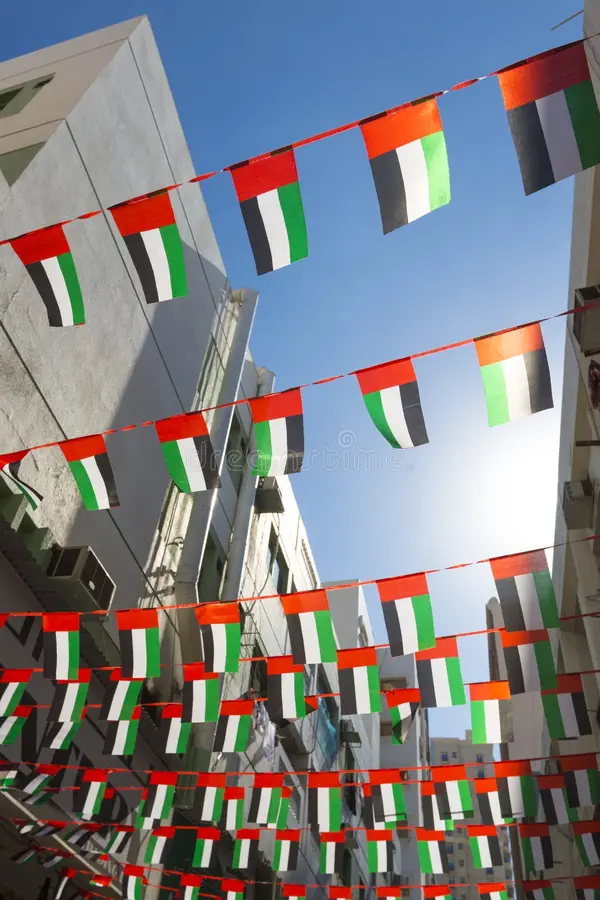 Bunting Flags, image 4 of 6