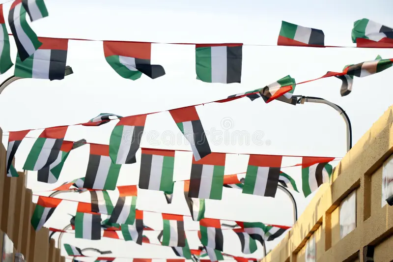 Bunting Flags, image 5 of 6