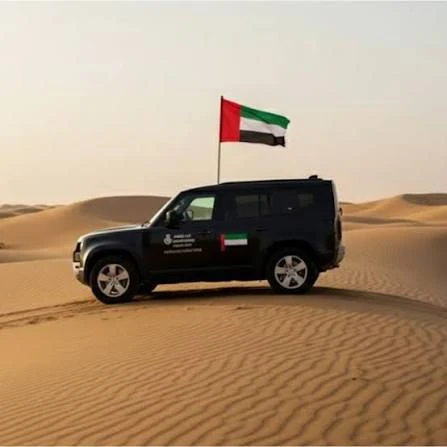 Car Flags, image 1 of 6