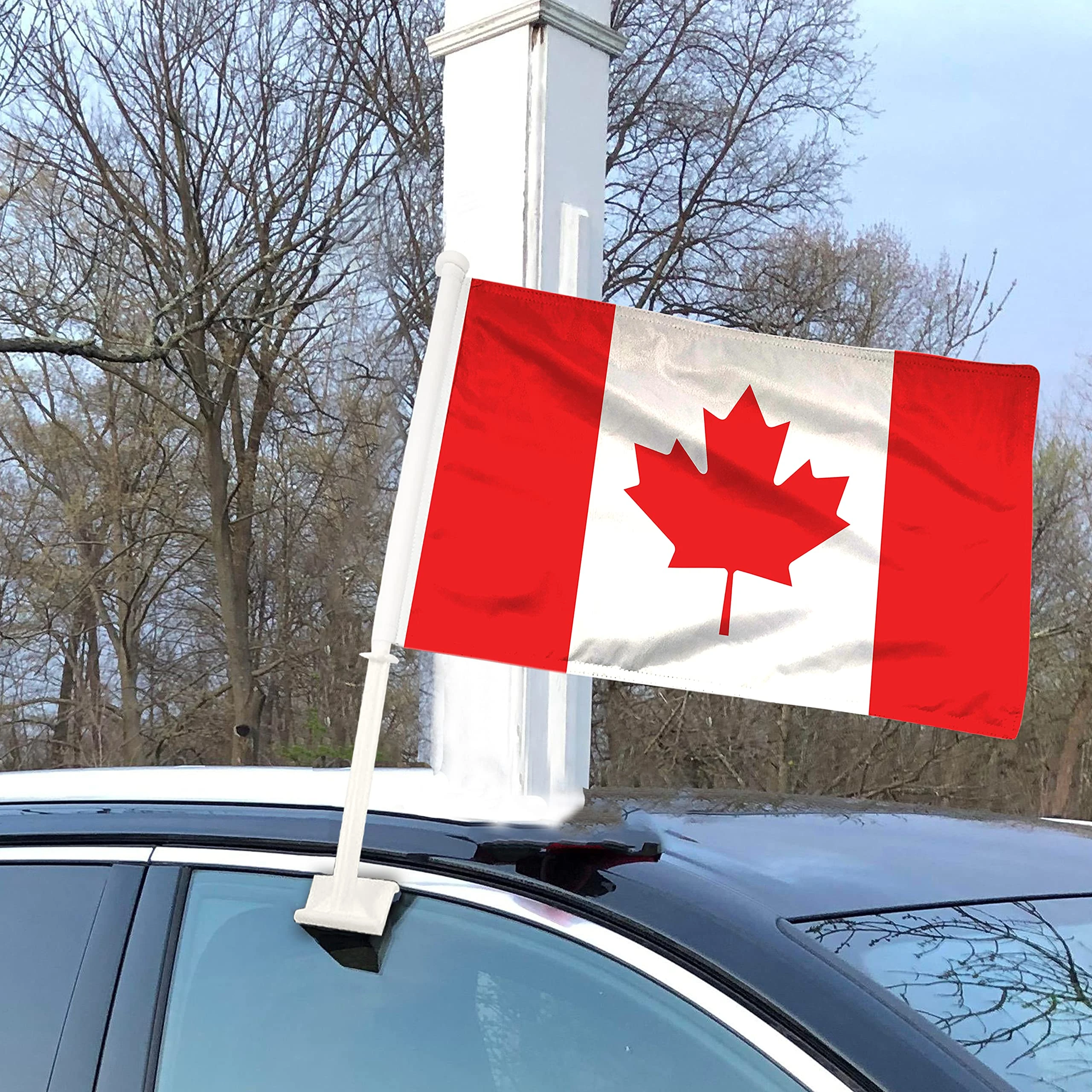 Car Flags, image 2 of 6