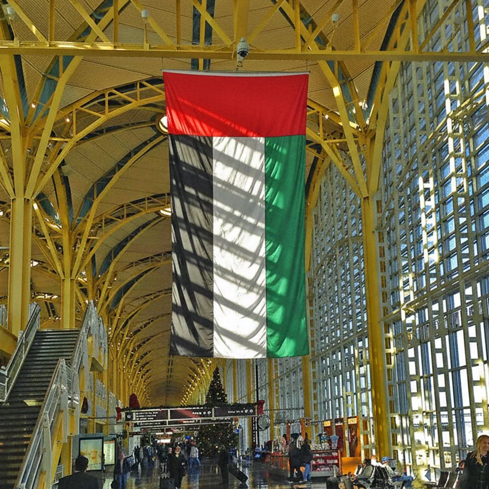 Conference Flags Hanging, image 3 of 5