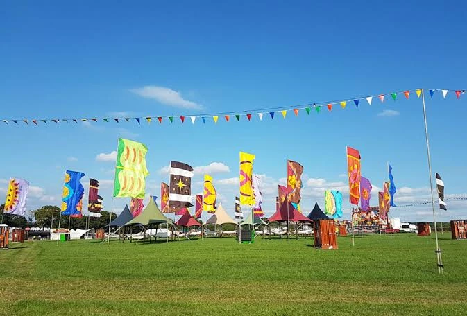 Festival Flags, image 3 of 6