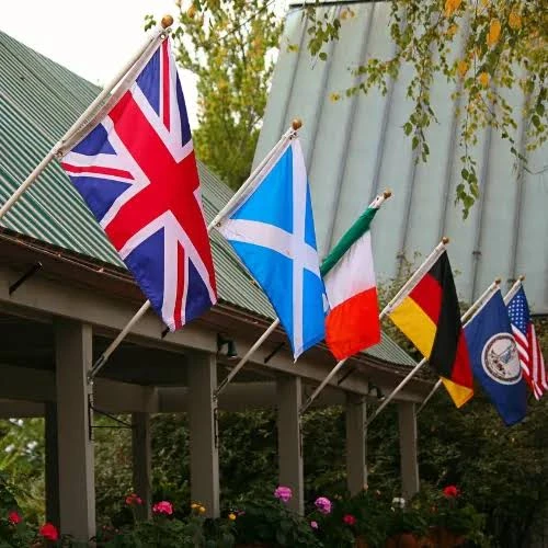 Wall Mounted Flags, image 1 of 7